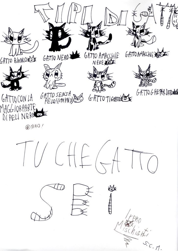 Tipi di Gatto