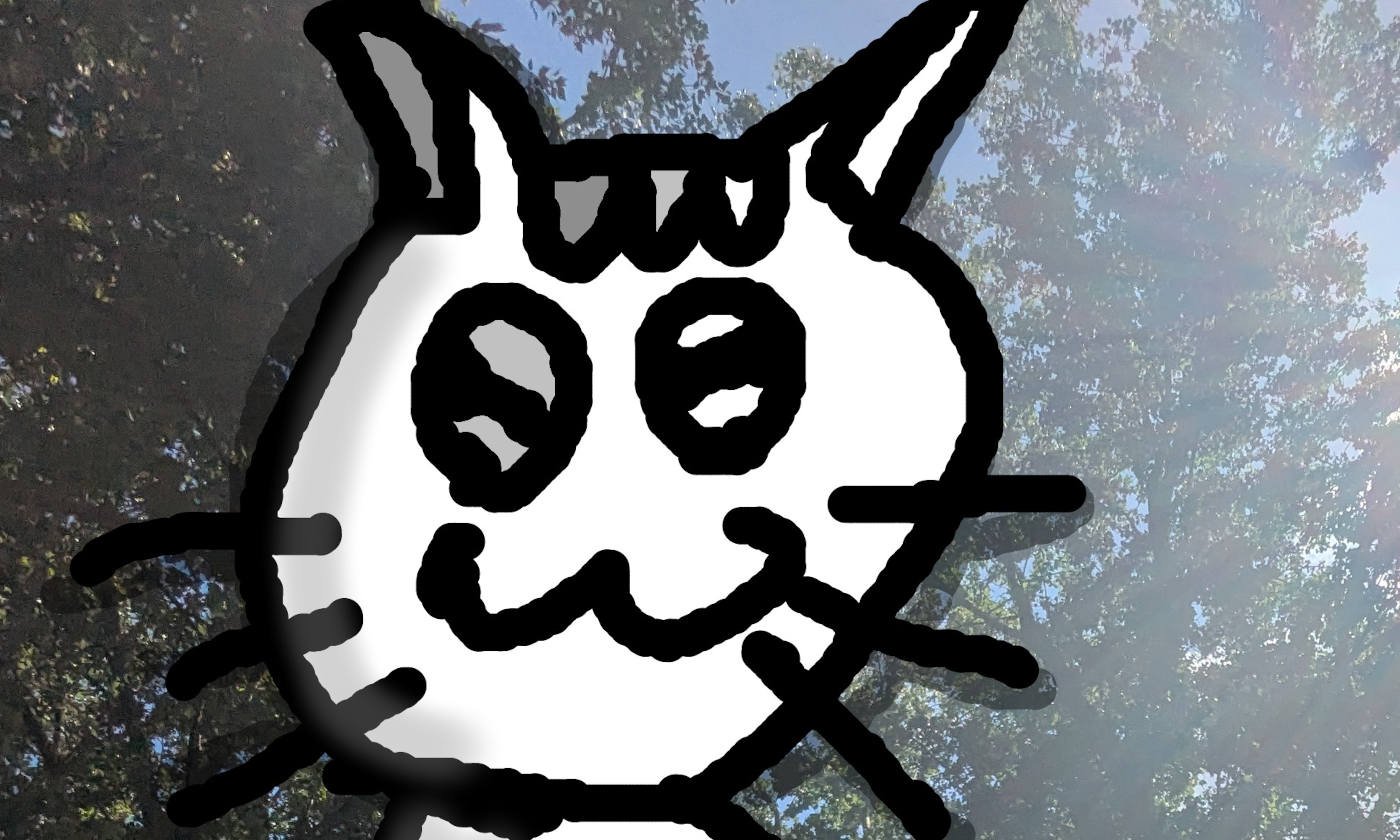 UN BEL GATTONE🐈❤!!!!!!!!!!!!